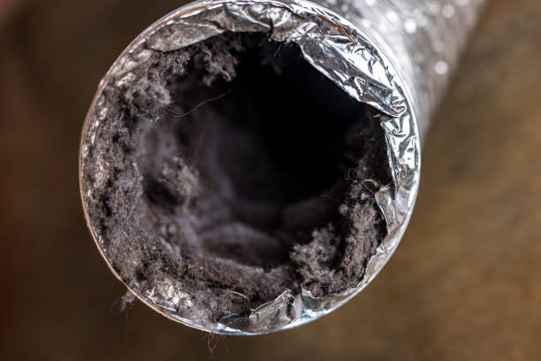 Best Residential Air Duct Cleaning  in Wamac, IL