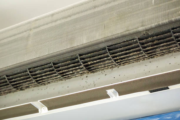 Best Affordable Duct Cleaning Services  in Wamac, IL